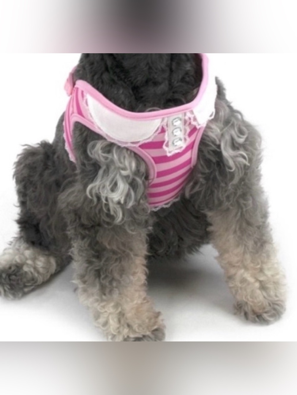 NWT [Vibrant Life] Girly Pink Striped Lace Collar Buckle Dog Harness Sz Small